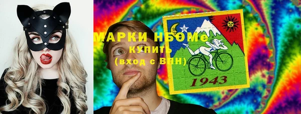 шишки Алексин