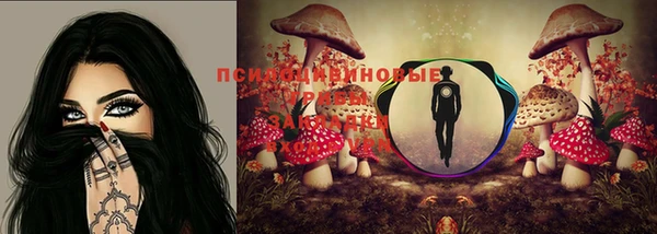 дурь Алзамай