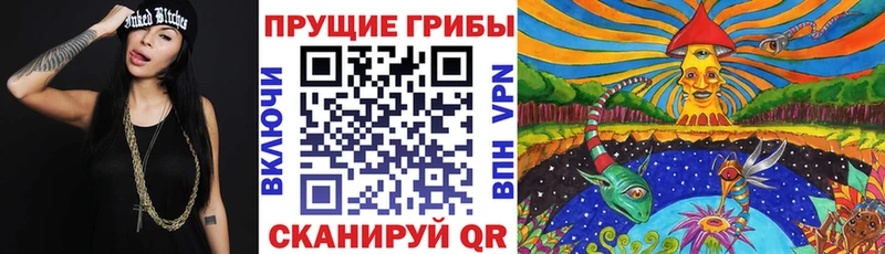 Псилоцибиновые грибы Psilocybe  mega сайт  Дно 